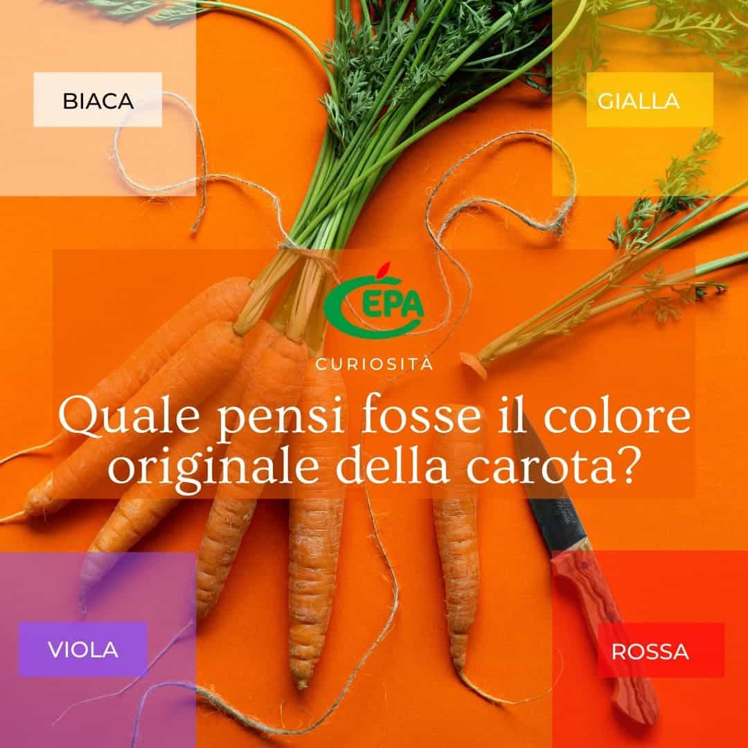 Quale pensi fosse il colore originale della carota